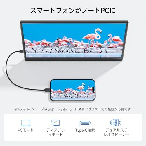 Portable Monitor Travel Monitor for Laptop with Foldable Stand & Carry Case (Standard 3) - Image 7
