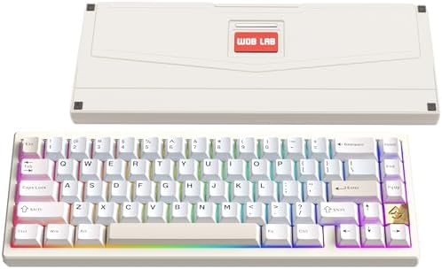 KEEBMONKEY WOBKEY Zen 65 65% Quick Release Wireless Mechanical Keyboard with RGB, CNC Aluminum Case, Hot-Swappable, VIA Support, BT/2.4G/USB-C Gaming Keyboard for Mac/Windows (Ultra White Gold) by KEEBMONKEY