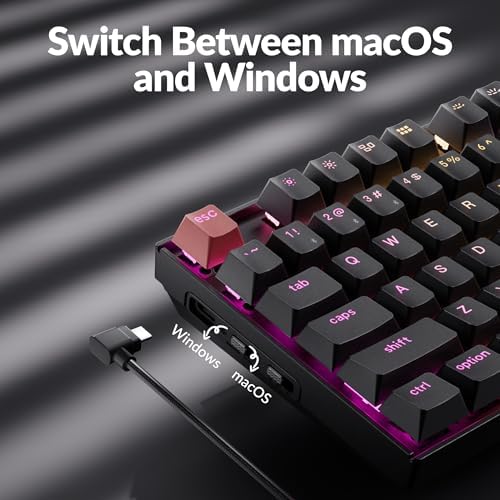 Keychron K8 V2 Wireless RGB Mechanical Keyboard, QMK/VIA Programmable, Hot-Swappable Super Red Switches, 87-Key TKL PBT Keycaps, Dual-Mode Bluetooth 5.2 & USB-C Wired, for Mac, Windows, Linux - Image 4