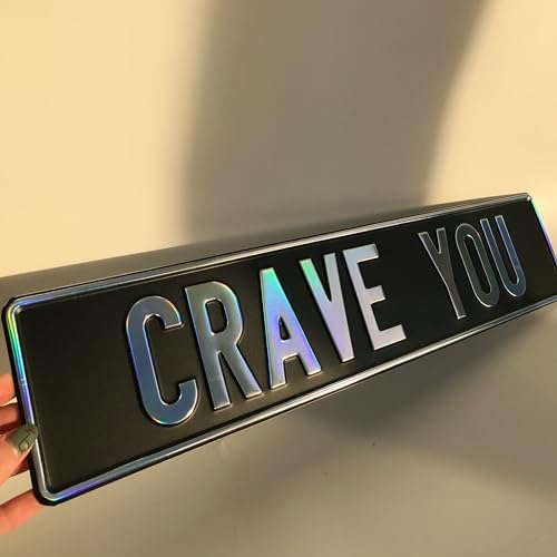 Custom Black Nameplate Front European License Plate Home Decor Metal Art Personalized Name Delete Interior Funny Gift (Chameleon) - Image 3