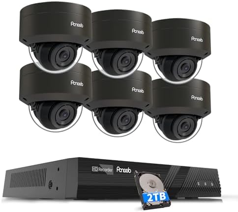 PoE Security Camera System Outdoor 5MP with 2TB HDD, PD54B0608-5M by PANOOB