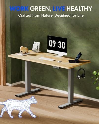 FLEXISPOT 63" x 24" Solid Wood Standing Desk, Silver Frame - Image 2
