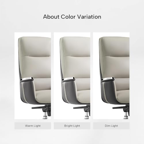 EUREKA ERGONOMIC Royal II High Back Executive Office Chair, Off-White - Image 7