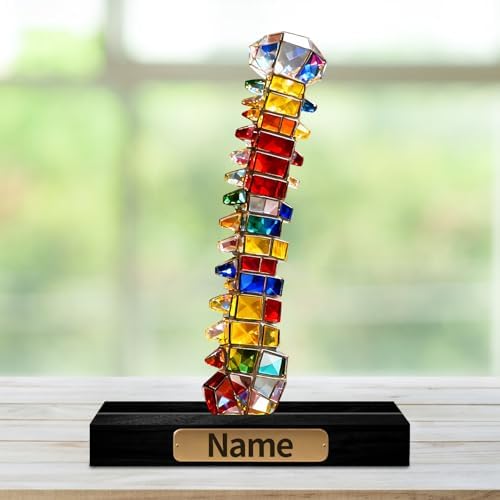Personalized Acrylic Human Spine Anatomical Decoration Stained Glass Style Colorful Figurine with Custom Name Plate Medical Anatomy Desktop Ornament Gifts for Orthopedic Doctors Men Women - Image 2