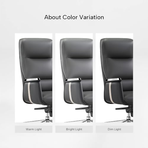 EUREKA ERGONOMIC Royal II Executive Office Chair, Silicone Leather, Gray - Image 3