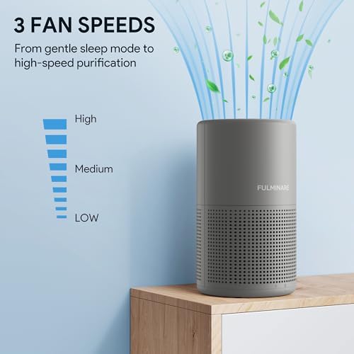 FULMINARE Air Purifiers for Home H13 True HEPA Air Filter (Gray 2 Pack) - Image 6