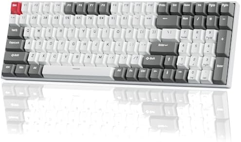 RK ROYAL KLUDGE RK100 Wireless Mechanical Keyboard RGB Backlit Bluetooth5.1/2.4G/Wired 96% Full Size 100-Key Hot Swappable Gaming Keyboard Brown Switch Classic by RKROYALKLUDGE