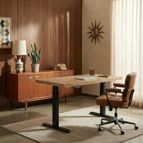 ErGear 48 X 24 Inch Height Adjustable Electric Standing Desk, Natural Oak by ErGear