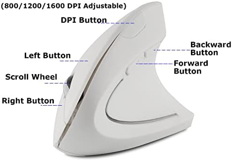 Wireless Mouse Ergonomic Vertical Ergo High Presion Optical Lightweight Cordless LED Light Cute Wireless Mice for Laptop Computer Mac Office Girl Boy Women Men Gift,800/1200/1600 DPI,6 Buttons - Image 4