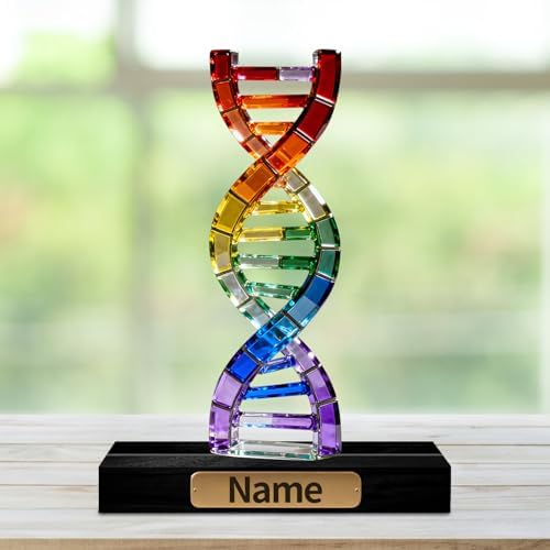 Personalized Acrylic DNA Double Helix Decoration Stained Glass Style Colorful Figurine with Custom Name Plate Biology Desktop Ornament Gifts for Geneticists Biologists Medical Students - Image 2
