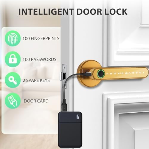 Fingerprint Door Lock Biometric Door Knob with Keypad Keyless Entry, Door Locks for Bedrooms, Home Hotel Office Apartment Gold - Image 2