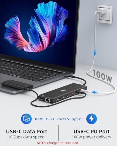 13-in-1 Docking Station Dual Monitor 4K LIONWEI USB C Hub for Laptop Mac - Image 5