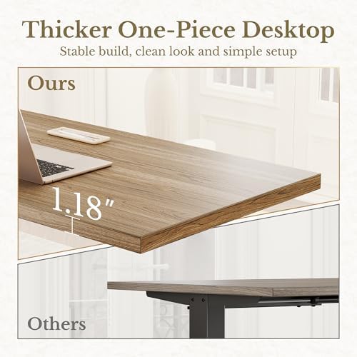ErGear 48 X 24 Inch Height Adjustable Electric Standing Desk, Natural Oak - Image 3