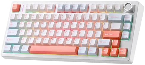 N75 V2 Mechanical Keyboard,2.4GHz/BT/Wired Wireless Gaming Keyboard by MIKIBY