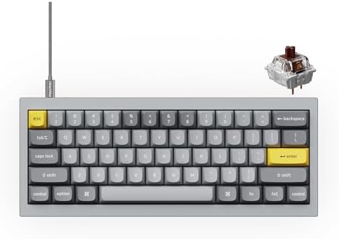 Keychron Q4 Wired Custom Mechanical Keyboard, 60% Layout QMK/VIA Programmable Macro with Hot-swappable Gateron G Pro Brown Switch Double Gasket Compatible with Mac Windows Linux - Grey by Keychron