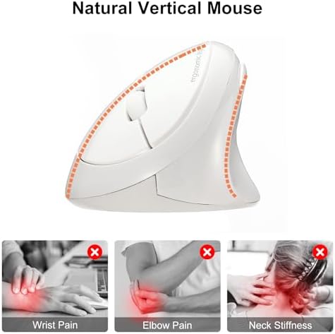 SANWA 2.4G Wireless Ergonomic Mouse White, Vertical Optical Ergo Mouse Small Hands, Cordless Mice for Wrist Pain, 800/1200/1600 DPI, 5 Buttons, Compatible Mac, Windows, PC, Desktop - Image 2