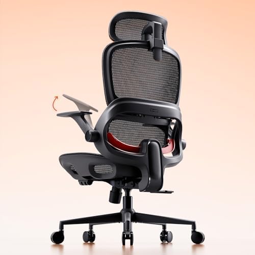 SIHOO B100 Mesh Ergonomic Office Chair with Adaptive Lumbar Support by SIHOO