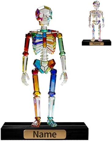 Personalized Acrylic Human Skeleton Anatomical Decoration Colorful Flat Figurine with Custom Name Plate Halloween & Anatomy Desktop Ornament,Gifts for Anatomy Enthusiasts Medical Students by Unknown