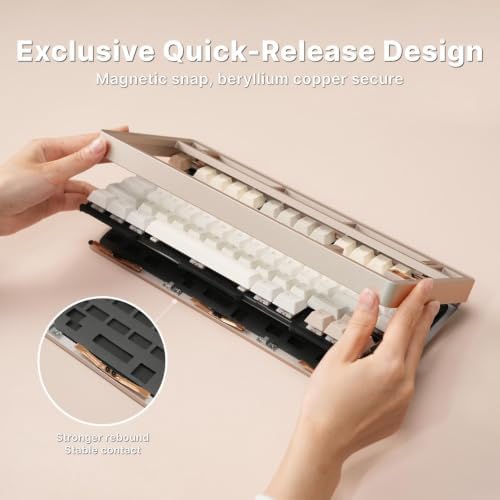 EVO75 Mechanical Keyboard (Spray-Coated Eclipse Grey, FR4) - Image 5