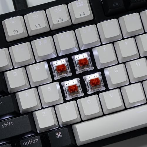Keychron C2 Wired Full-Size Keyboard, Keychron Red Switch, White Backlight - Image 3