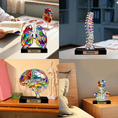 Personalized Acrylic Human Skull Torso Anatomical Decoration Stained Glass Style Colorful Figurine with Custom Name Plate Halloween & Anatomy Desktop Ornament Gifts for Anatomy Enthusiasts - Image 6