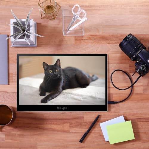 Acer 18.5in FHD 1920x1080 IPS 100Hz Slim Portable Monitor PM191Q Ebmiuux - Image 7