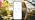 X-Sense Smart Wi-Fi Thermometer Hygrometer, Base Station not Included - Image 7