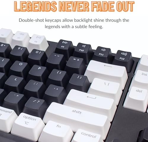 Keychron C2 Wired Full-Size Keyboard, Brown Switch, White Backlit - Image 3