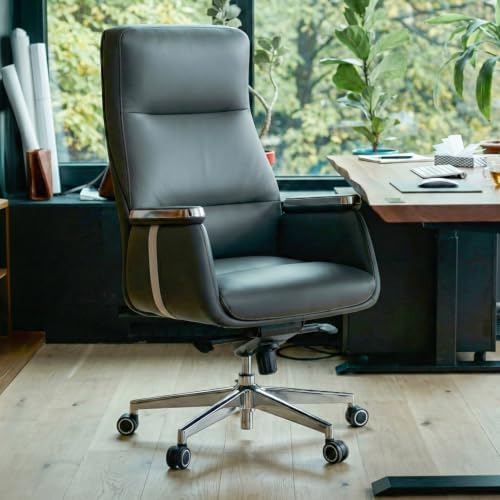 EUREKA ERGONOMIC Royal II Executive Office Chair, Silicone Leather, Gray by EUREKAERGONOMIC