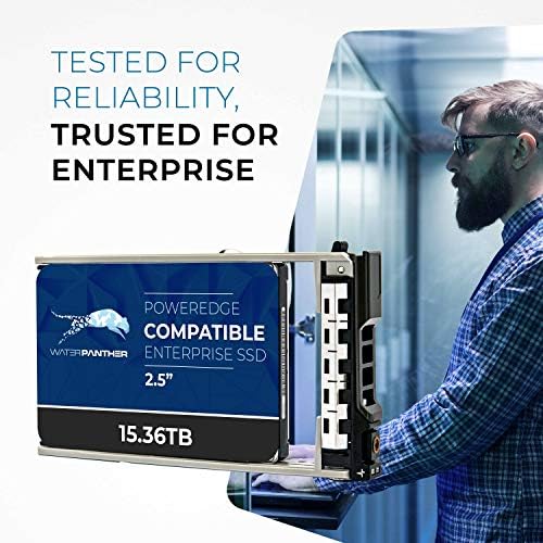 Water Panther 15.36TB SAS 24Gb/s 2.5" SSD for Dell PowerEdge Servers | Enterprise Drive in 13G Tray - Image 2