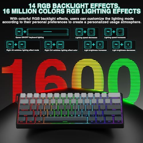 Aula WIN60 HE - 60% Mechanical Gaming Keyboard Wired, Hall Effect Magnetic Switch Hot Swappable,8000 Hz Polling Rate, RGB Keyboard 60 Percent Compact Design for PC (Gradient Gray) - Image 6