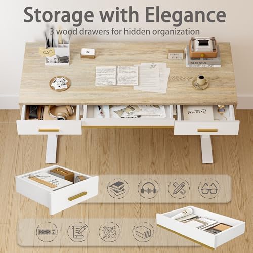 TIQLAB One-Piece Top Electric Standing Desk, 47 x 24 Inch Height Adjustable Sit Stand Desk with Three Drawers for Home Office, Maple - Image 4