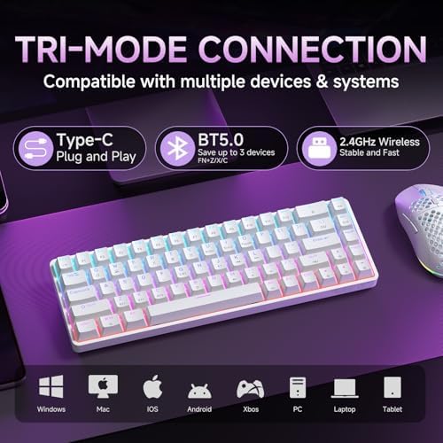 DIERYA DK68 60% Wireless Mechanical Gaming Keyboard, 3-Mode, Bluetooth 5.0/2.4G/USB-C, RGB Backlit, 68-Key Compact Mini for Windows, Mac, Linux - Clicky Blue Switch - White - Image 2