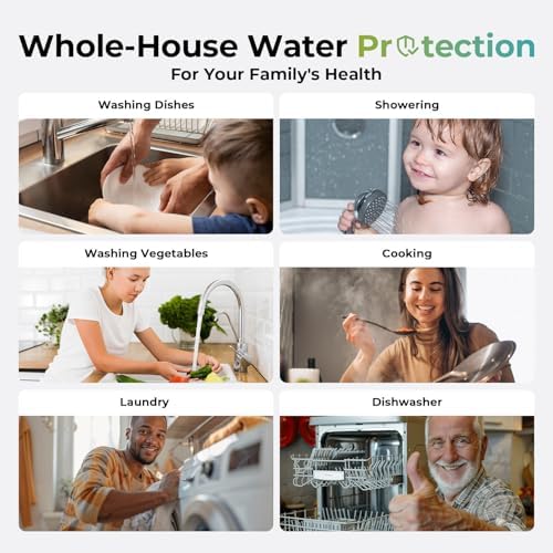iSpring WGB31B-KS Heavy Metals Whole House Water Filter System - Image 5