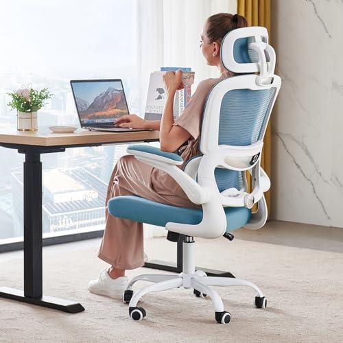 TRALT Office Chair Ergonomic Desk Chair with Lumbar Support Sky Blue, 1 by TRALT