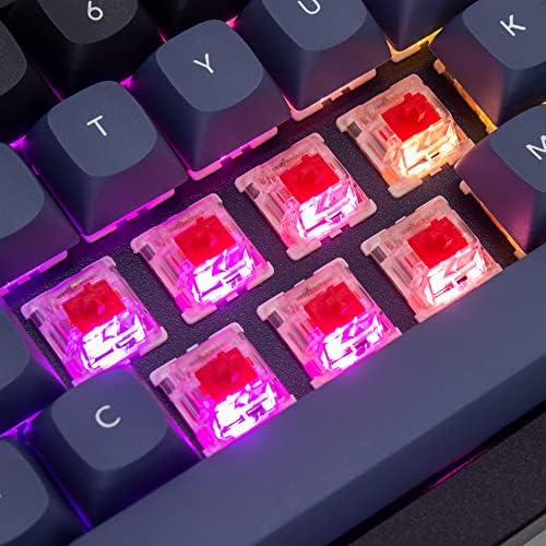 Keychron Q4 Wired Custom Mechanical Keyboard, 60% Layout QMK/VIA Programmable Macro with Hot-swappable Gateron G Pro Red Switch Double Gasket Compatible with Mac Windows Linux (Black) - Image 7