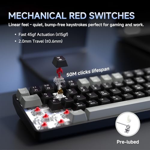 DIERYA DK68 60% Wireless Mechanical Gaming Keyboard, 3-Mode, Bluetooth 5.0/2.4G/USB-C, RGB Backlit, 68-Key Compact Mini for Windows, Mac, Linux - Linear Red Switch - Grey/Black - Image 4