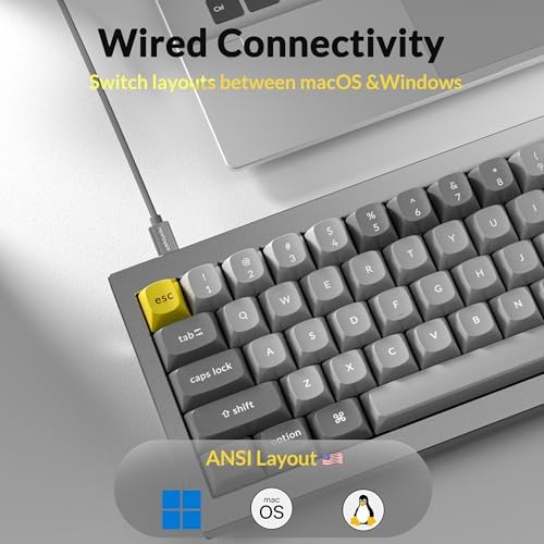 Keychron Q4 Wired Custom Mechanical Keyboard, 60% Layout QMK/VIA Programmable Macro with Hot-swappable Gateron G Pro Brown Switch Double Gasket Compatible with Mac Windows Linux - Grey - Image 3