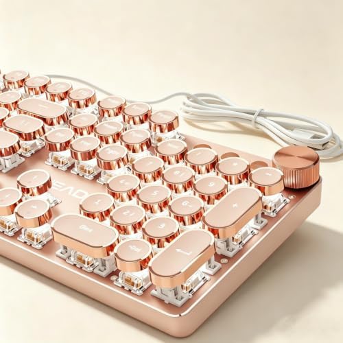 Wired Typewriter Mechanical Keyboard, Retro Punk Keyboard with Media Knob by SEUNKWANG