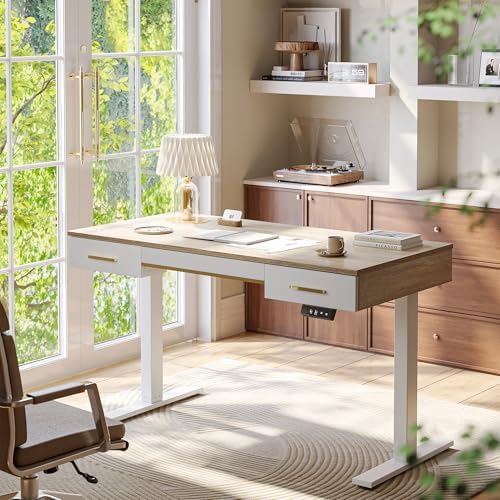 TIQLAB One-Piece Top Electric Standing Desk, 47 x 24 Inch Height Adjustable Sit Stand Desk with Three Drawers for Home Office, Maple by TIQLAB