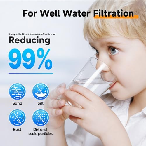 PUREPLUS 1-Stage Whole House Water Filter System, Iron & Manganese Reduce - Image 4