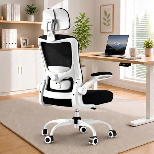 Ergonomic Office Chair for Lower Back Relief, 4-Way Lumbar, 330 LBS by DesignedforFocusedHours