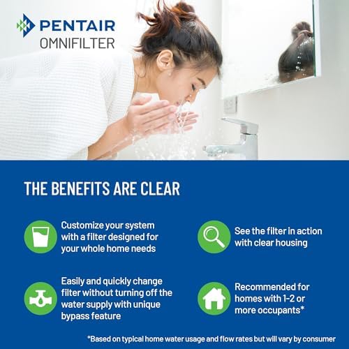 Pentair OMNIFilter 10-Inch Whole Home Standard Duty Filtration System - Image 5