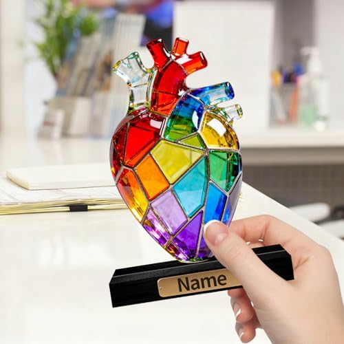 Personalized Acrylic Human Brain Anatomical Decoration Colorful Figurine with Custom Name Plate, Medical & Anatomy Desktop Ornament, Gifts for Neuroscientists Doctors Medical Students - Image 4
