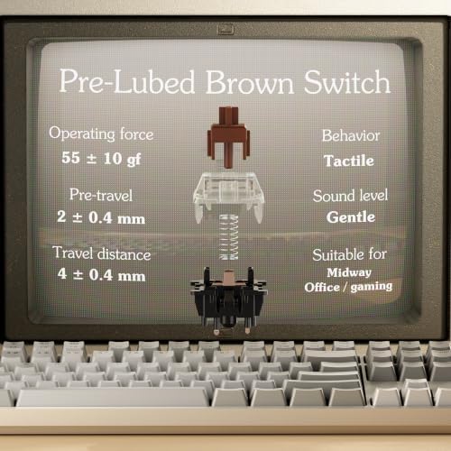 Keychron C2 Full Size Wired Mechanical Keyboard, Hot-Swappable, Retro - Image 7