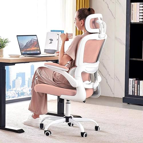 TRALT Office Chair Ergonomic Desk Chair with Lumbar Support Pink, 1 by TRALT
