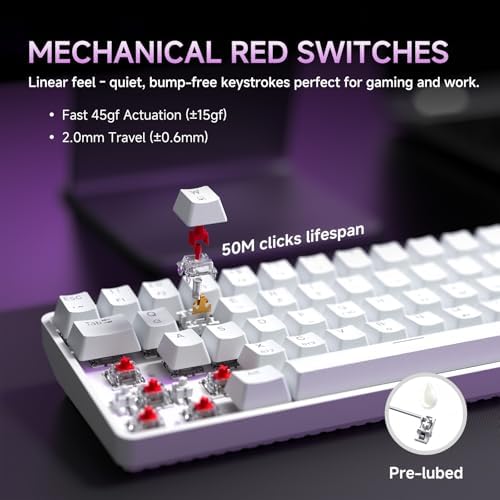 DIERYA DK68 60% Wireless Mechanical Gaming Keyboard, 3 Modes Bluetooth/2.4GHz/USB-C (White/Red Switch, Wireless) - Image 4