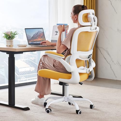 TRALT Office Chair Ergonomic Desk Chair with Lumbar Support Yellow, 1 by TRALT