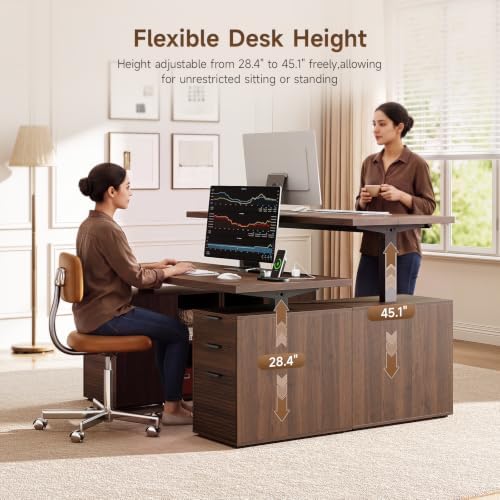 ONBRILL 63" Electric Standing Desk with 6 Drawers,Storage Shelves,Walnut - Image 3
