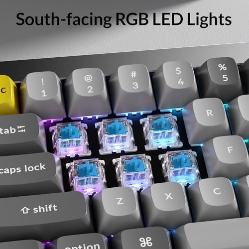 Keychron Q4 Wired Custom Mechanical Keyboard, 60% Layout QMK/VIA Programmable Macro with Hot-swappable Gateron G Pro Blue Switch Double Gasket Compatible with Mac Windows Linux (Gray) - Image 4